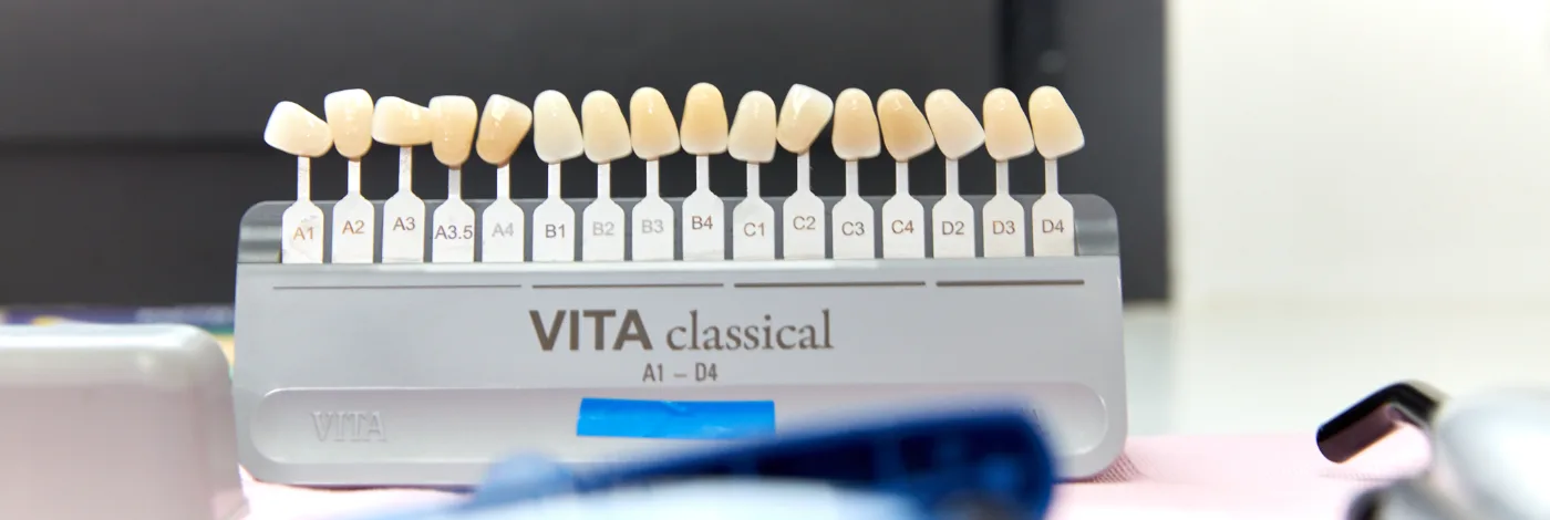 Teintier dentaire VITA classical A1-D4 : les 16 échantillons de teinte, de A1 à D4