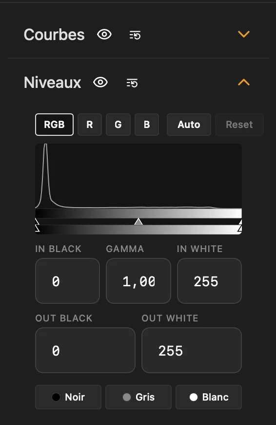 Panneau Niveaux RGB de l'application USHOOT